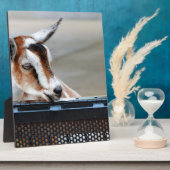 ベビーヤギ フォトプラーク (側面)