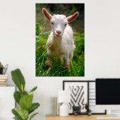 ベビーヤギ ポスター (ホームオフィス)