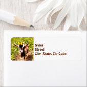 ベビーヤギ – 差出人住所ラベル ラベル (インサイチュ)