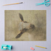 ベビーヤギ 薄葉紙 (クラフト)