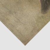 ベビーヤギ 薄葉紙 (詳細)