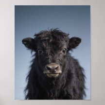 ベビーヤクの肖像画 - かわいい子供部屋の動物の壁のアート