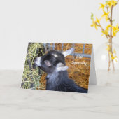 ベビーヤートヘイ悔やみや弔慰 カード (黄色い花)