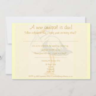 ベビーユニセックスシャワー招待状-男の子か女の子 招待状