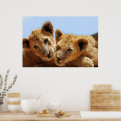 ベビーライオン愛 ポスター (キッチン)