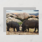 ベビーライノセロスのライフレッスン、 シーズンポストカード (正面/裏面)