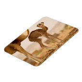 ベビーラクダ マグネット (左側)