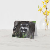 ベビーラコム カード (黄色い花)