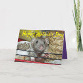 ベビーラットマザーズデイカード カード (正面)