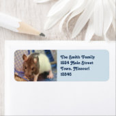 ベビーラット ラベル (インサイチュ)