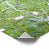 ベビーラビットポスター ポスター (角)