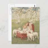 ベビーラムドグウッドツリーフィールド ポストカード (正面/裏面)