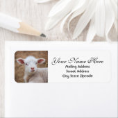 ベビーラム差出人住所 ラベル (インサイチュ)