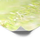 ベビーランニング猫の芝生の上。 ポスター (角)