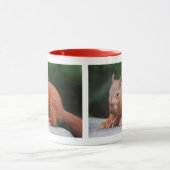 ベビーリスとナットマグ マグカップ (中央)