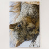 ベビーリスパズル ジグソーパズル (縦)