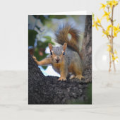 ベビーリス カード (黄色い花)