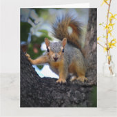 ベビーリス カード (黄色い花)