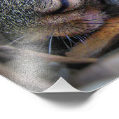 ベビーリス フォトプリント            (角)