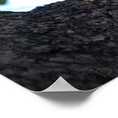 ベビーリス ポスター (角)