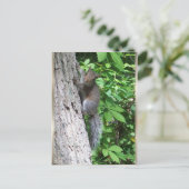 「ベビーリス」ポストカード ポストカード (スタンド正面)