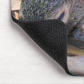 ベビーリス マウスパッド (コーナー)