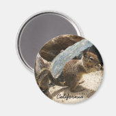 ベビーリス マグネット (正面/裏面)