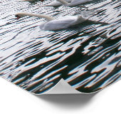 ベビーレイクジュネーブ ポスター (角)