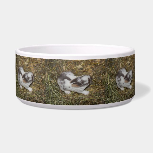 ベビーレセス ボウル (正面)