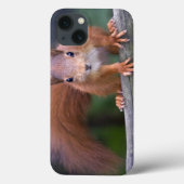 ベビーレッドiPadケース Case-Mate iPhoneケース (裏面)