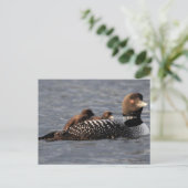 ベビーログオンのポストカード ポストカード (スタンド正面)