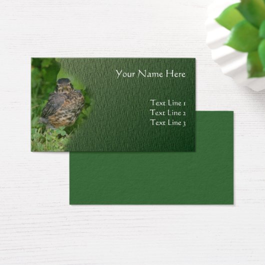 ベビーロビンの鳥の動物の自然 (デスク)