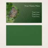 ベビーロビンの鳥の動物の自然 (正面&裏面)