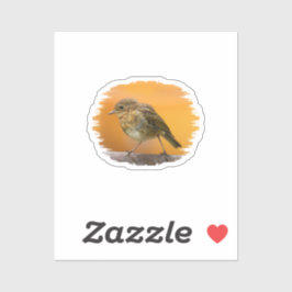 ベビーロビンオンザツリーブランチ シール