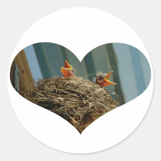 ベビーロビンスハートシール ラウンドシール (正面)