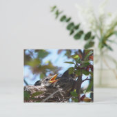 ベビーロビンズインザネストはがき ポストカード (スタンド正面)