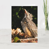 ベビーロビン カード (正面)