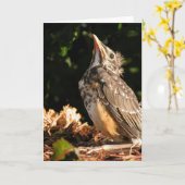 ベビーロビン カード (黄色い花)