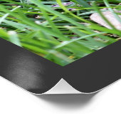 ベビーロビン・シット・イン・ザ・グラス写真 ポスター (コーナー)