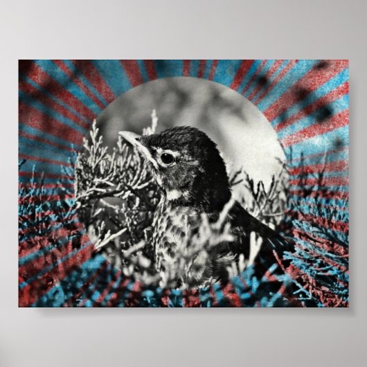 ベビーロビン ポスター (正面)