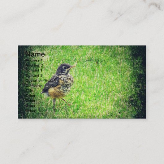 ベビーロビン 名刺 (正面)