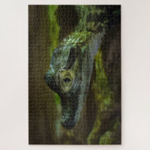 ベビーワニが水中で泳ぐ