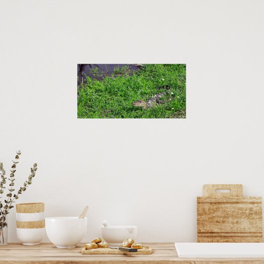 ベビーワニ ポスター (キッチン)