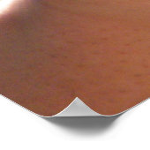 ベビーワニ ポスター (角)