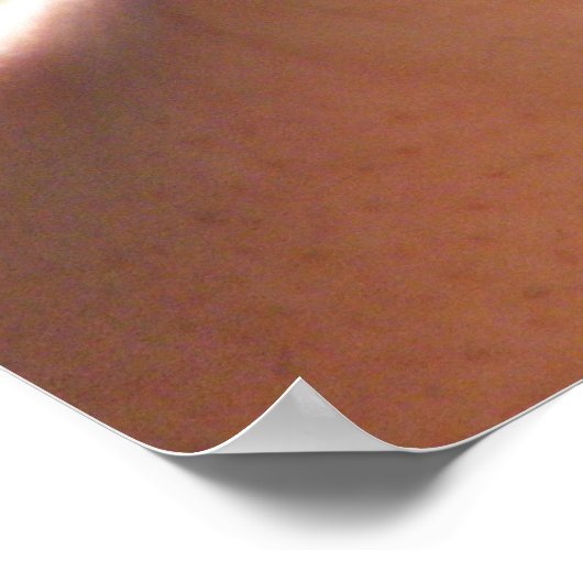 ベビーワニ ポスター (角)