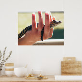 ベビーワニ ポスター (キッチン)