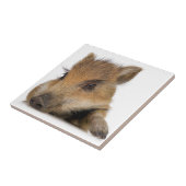 ベビーワルソグ タイル (側面)