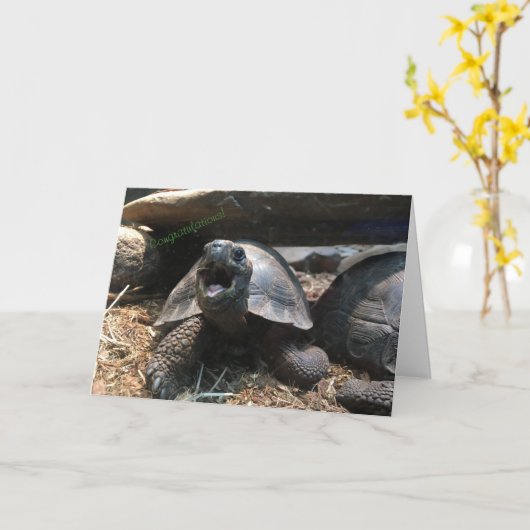 ベビー亀のグリーティングカード(おめでとう) カード (黄色い花)