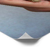 ベビー亀のポスター ポスター (角)