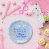 ベビー冷たいスノーフレーク冬のブルーボーイシャワー ペーパープレート (パーティー)